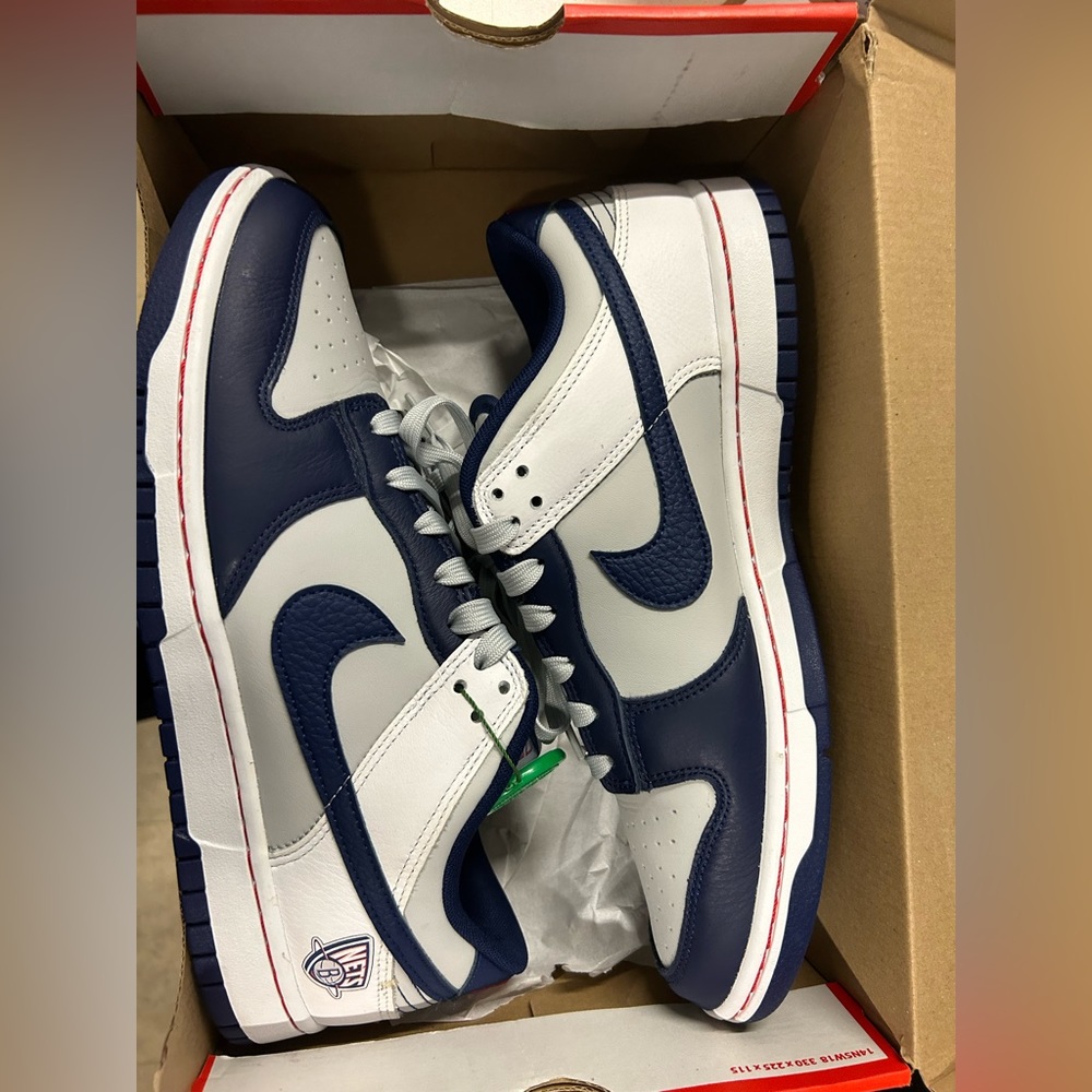 Nike dunk low emb nets